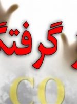 گاز گرفتگی ۴ خانم جوان در یکی از باغات تفریحی بویراحمد  /مردم هشدارها را جدی بگیرند