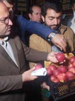 اقدامات ستاد تنظیم بازار استان در آستانه سال نو؛ پایان ذخیره میوه شب عید/ پرداخت مطالبات زیتون‌کاران