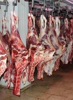 رفع کمبود گوشت قرمز در بازار با واردات